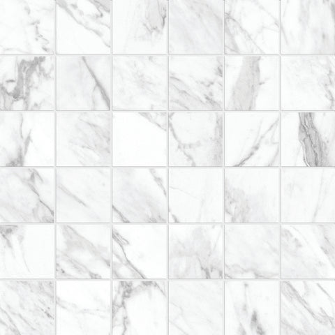 Tile Collection La Marca 2x2 Mosaic Statuarietto Tile
