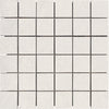 Tile Collection Urban Living 2x2 Mosaic Tile Pearl Raw