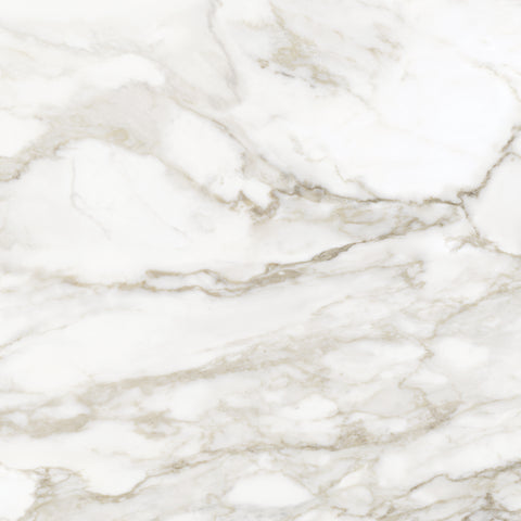 Tile Collection La Marca 32x32 Tile Calacatta Paonazzo Rectified