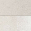 White Ash / 12