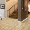 Shaw Tile Valentino Light 8x32 Room Scene
