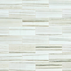 Shaw Tile Casino Zebrino Polished 4x12 Swatch