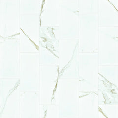 Shaw Tile Casino Calacatta Polished 12x24 Swatch