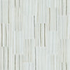 Shaw Tile Range Zebrino 12x24 Polish Swatch