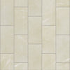 Shaw Tile Visionary Retreat 12x24 sWatch