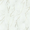 Shaw Tile Range Calacatta 12x24 Matte Swatch