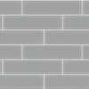 Shaw Tile Cardinal Shadow 3x12 Glass Wall Swatch