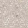 Shaw Tile Chateau Penny Round Mosaic Rockwood Swatch