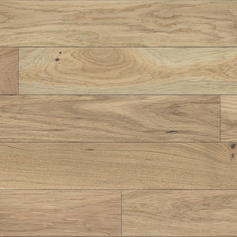 Paramount Solid Classics Oak Taupe Sample