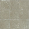 Shaw Tile Visionary Oasis 13x13 Swatch