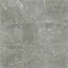 Shaw Tile Visionary Refuge 13x13 Swatch