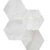 Tile Collection La Marca 6" Hexagon Onyx Nuvolato Tile