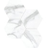 Tile Collection La Marca 6" Hexagon Statuario Nuovo Tile Polished