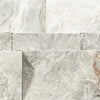 Shaw Tile Firestone Ritz Gray Split Face Swatch