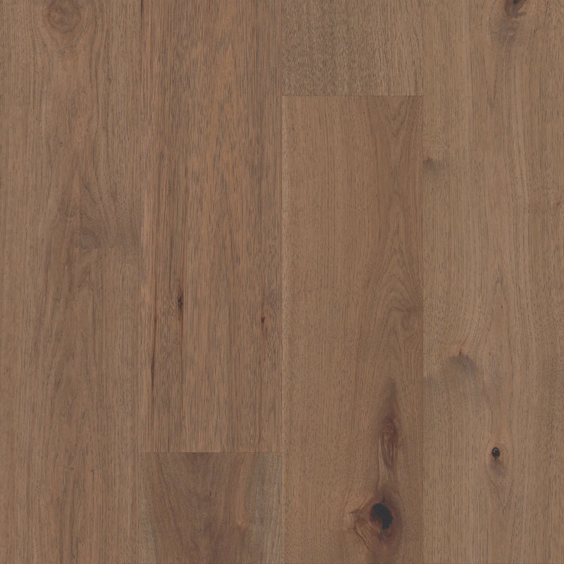 Anderson Imperial Pecan Fawn