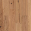 Anderson Imperial Pecan Harvest Swatch