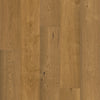 Anderson Grand Estate Richhill Castle Swatch