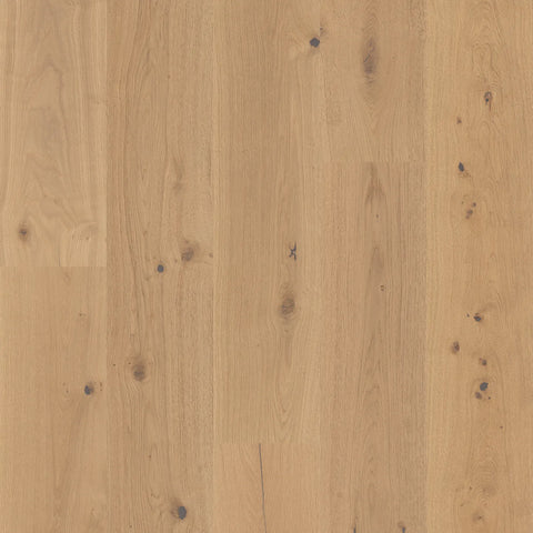 Anderson Grand Estate Thorndon Hall Swatch