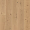 Anderson Grand Estate Thorndon Hall Swatch