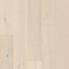 Anderson Grand Estate Ashton Court Swatch