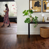 Anderson Revival Walnut Rye Room Scene