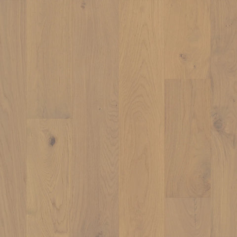 Anderson Noble Hall Duchess Swatch