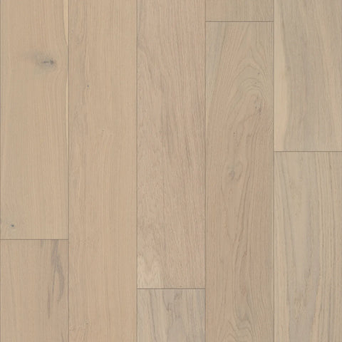 Anderson Noble Hall Regal Swatch