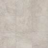 Daltile Advantage Matte 18x18 Light Gray