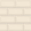 Domino Ceramic Tile Collection Almond Glossy Tile Beveled - 3"x6" 