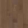 Anderson Brasilia Argan Swatch