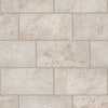 Shaw Tile Basanite Legacy 8x16 Slip Resistant Ivory Swatch