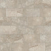 Walnut / 11.19