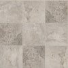 Shaw Tile Basanite Legacy 16x16 Grey Swatch