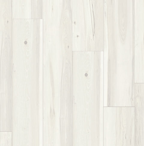 Stanton Beach House White Wash Swatch