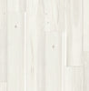 Stanton Beach House White Wash Swatch
