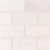 Marble Tile Collection Bianco Dolomite Subway 3"x6" Swatch