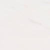Marble Tile Collection Bianco Dolomite 12"x24" - Polished Swatch