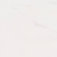 Marble Tile Collection Bianco Dolomite 12"x24" - Polished Swatch