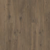Quick-Step Ellicott Point Book Case Oak Swatch