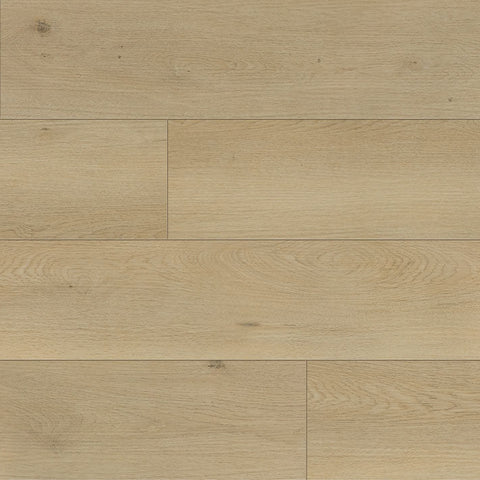 Paramount Signature WPC Boothbay Beige Swatch