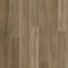 Stanton Bristol Point Ash Brown Swatch
