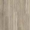 Stanton Bristol Point Fieldstone Swatch