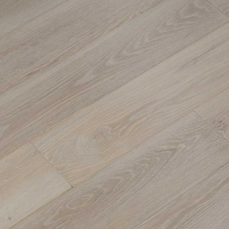 FloorLife Cadence Propel