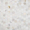 Marble Tile Collection Calacatta 2" Hexagon Swatch