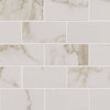 Pietra Porcelain Collection Calcatta Subway Tile - 2"x4" Swatch