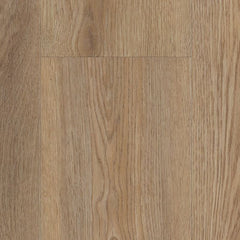 Shaw Pantheon HD Plus Caldo