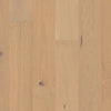 Shaw Ensemble Champagne Swatch