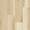 DH Homes TruCore Luxury SPC Canal Hickory Clearance Sample Swatch