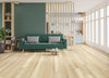 DH Homes TruCore Luxury SPC Canal Hickory Clearance Sample Room Scene
