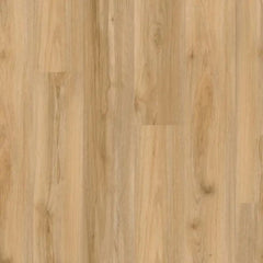 Earthwerks Chassis Advantage SPC Plus Backbone